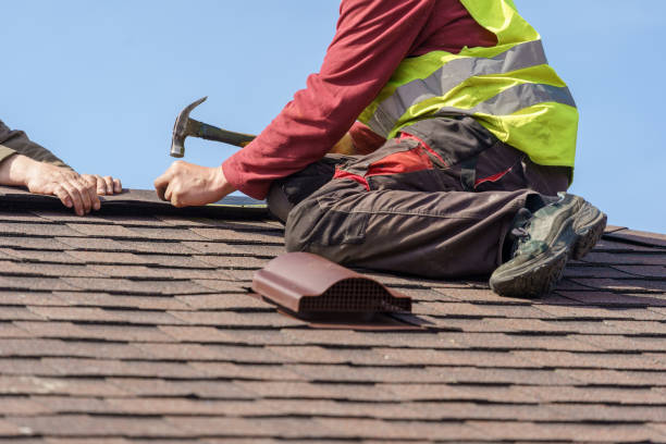 Best Metal Roofing Contractor  in Oquawka, IL