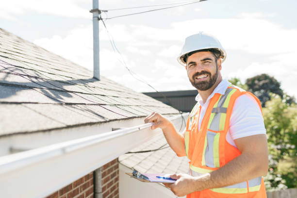 Best Residential Roof Replacement  in Oquawka, IL