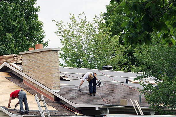 Best Roof Gutter Cleaning  in Oquawka, IL