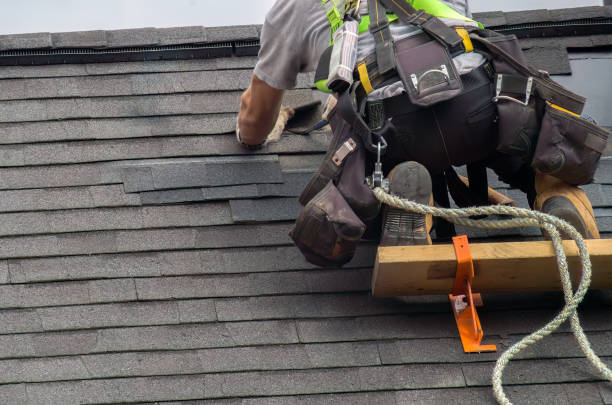 Best Flat Roof Repair Services  in Oquawka, IL