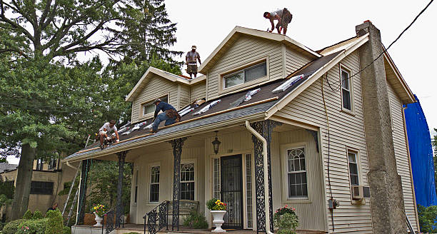 Best Shingle Roofing Installation  in Oquawka, IL