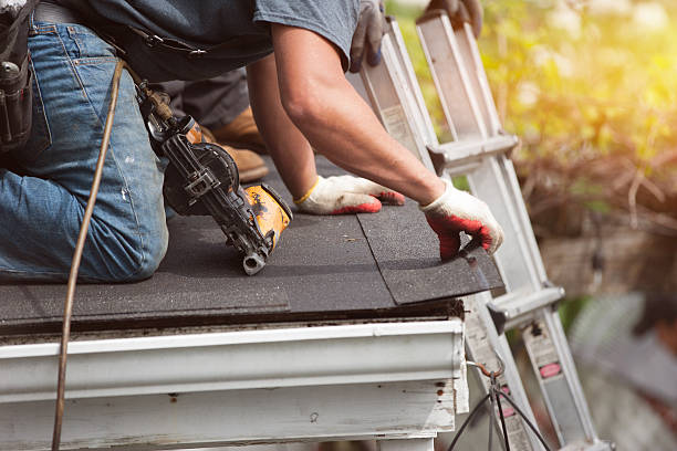 Best Roof Maintenance Services  in Oquawka, IL