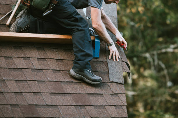 Best Roof Repair Services  in Oquawka, IL